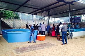 Turtle Conservation Centre in Sri Lanka