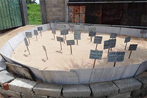 Turtle Conservation Centre in Sri Lanka